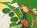Graham Sutherland, Insect, Lithograph in Colors, - 6