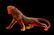 Daum, Tigre de Bengale, an amber pate de verre model of