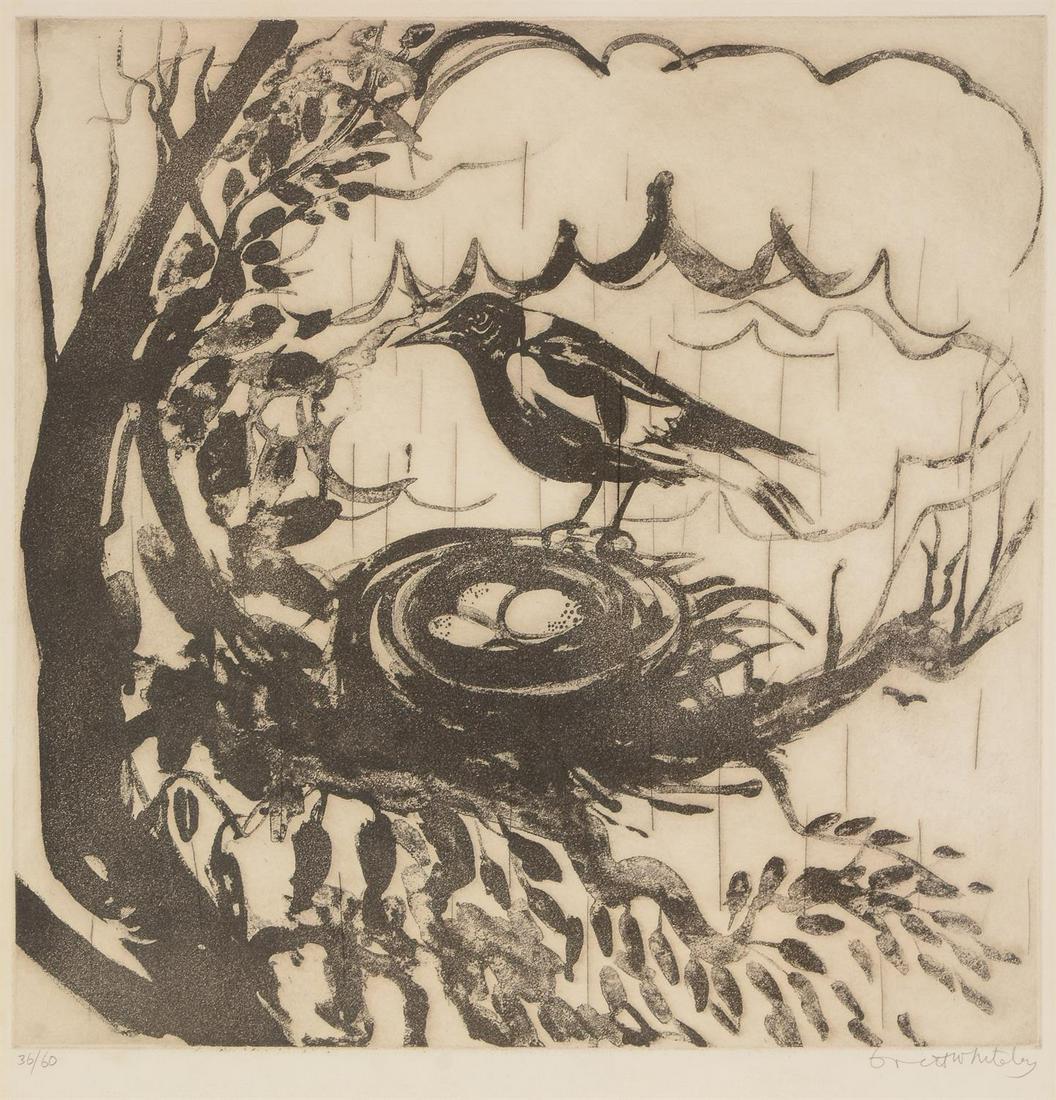 Brett Whiteley (Australian 1939-1992)MagpieSugarlift etching, 1977Signed in pencil and numbered: Brett Whiteley (Australian 1939-1992)MagpieSugarlift etching, 1977Signed in pencil and numbered 36/60Plate: 49.5 x 49cm (19¼ x 19¼ in.)