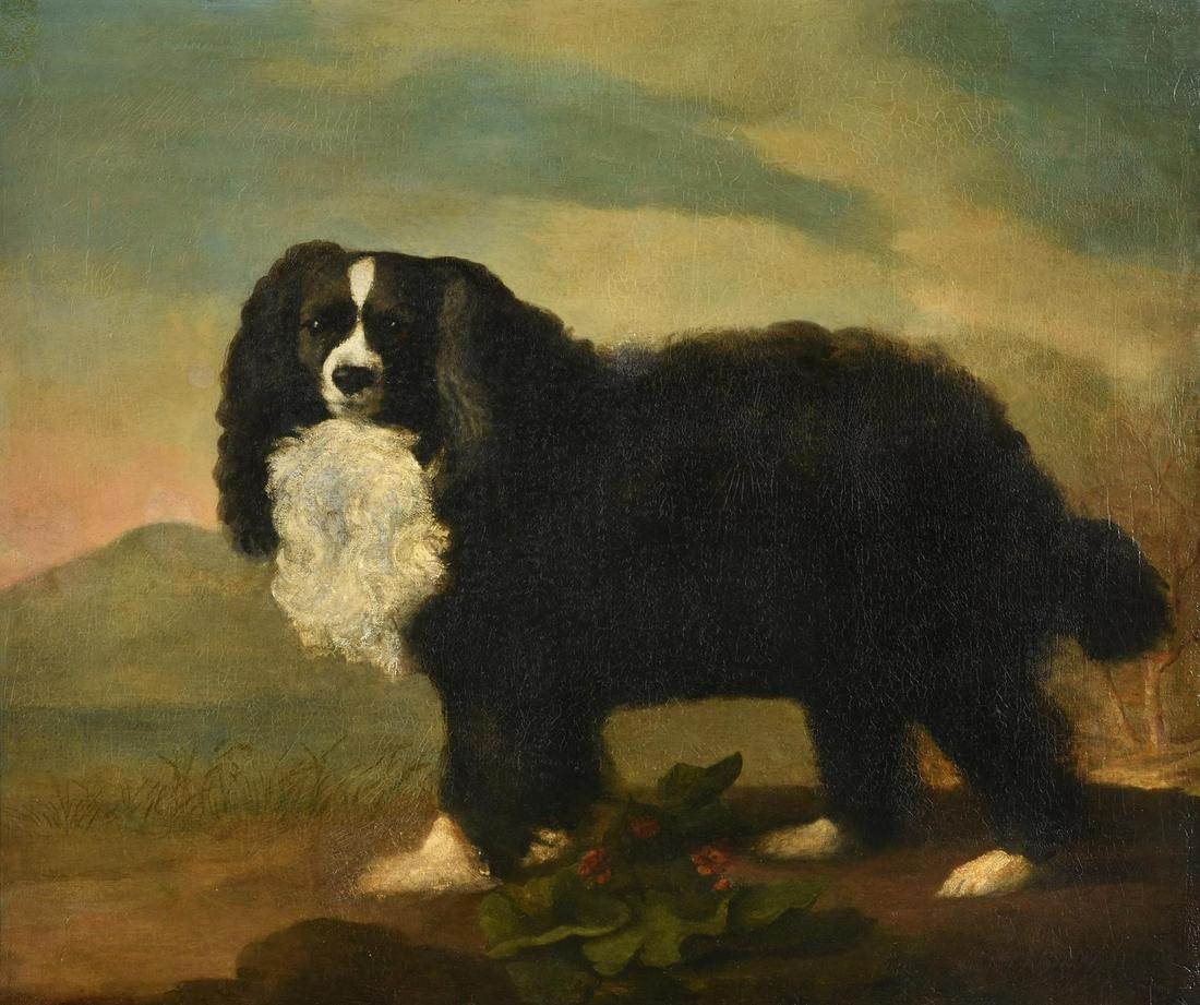 GEORGE STUBBS (BRITISH 1724-1806), A KING CHARLES SPANIEL IN A LANDSCAPE: GEORGE STUBBS (BRITISH 1724-1806)A KING CHARLES SPANIEL IN A LANDSCAPESigned (lower right)Oil on canvas59.8 x 71cm (23½ x 27¾ in.)Provenance:Arthur Ackermann & Sons, LondonMajor P.G.G.Sh