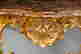 item-134142485=3