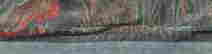 item-136141161=2