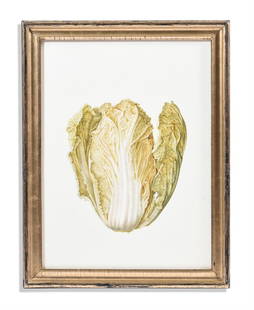 λ BRIGID EDWARDS (BRITISH B.1940), CHINESE CABBAGE: λ BRIGID EDWARDS (BRITISH B.1940)CHINESE CABBAGEWatercolour on vellum 47 x 35cm (18½ x 13¾ in.)Provenance:Thomas Gibson Fine Art, London, where purchased by Robert Kime in 2016 Exhibite