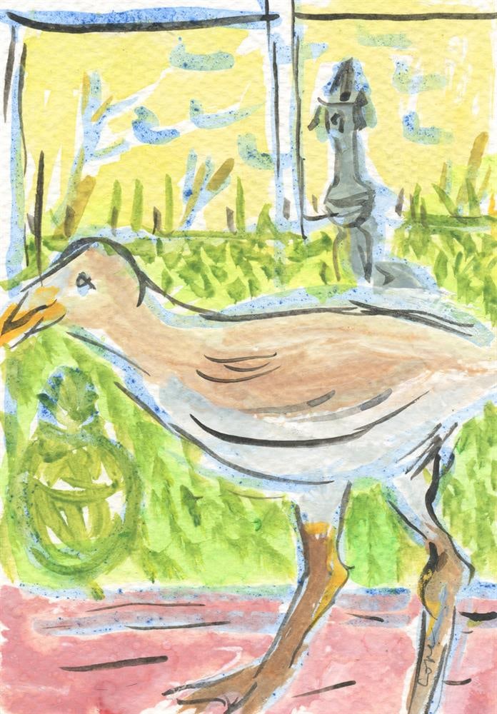 Elizabeth Cope, Seagull with Sundial and Dab Chickens on Pond, 2024 (1 of 2)