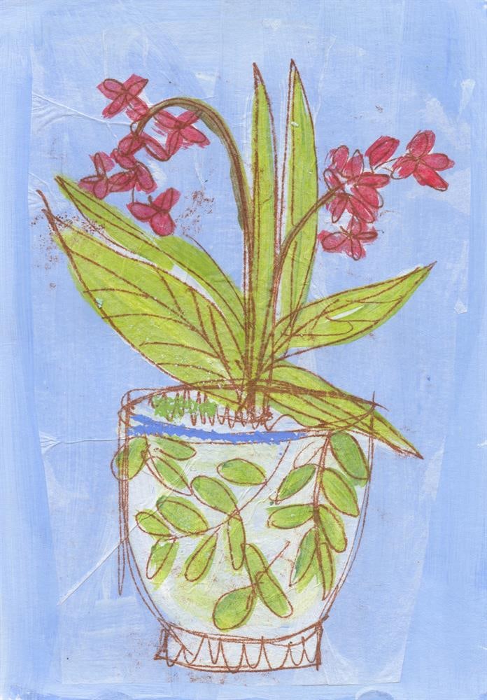 Andrea Curtis, Succulent 2, 2025 (1 of 2)