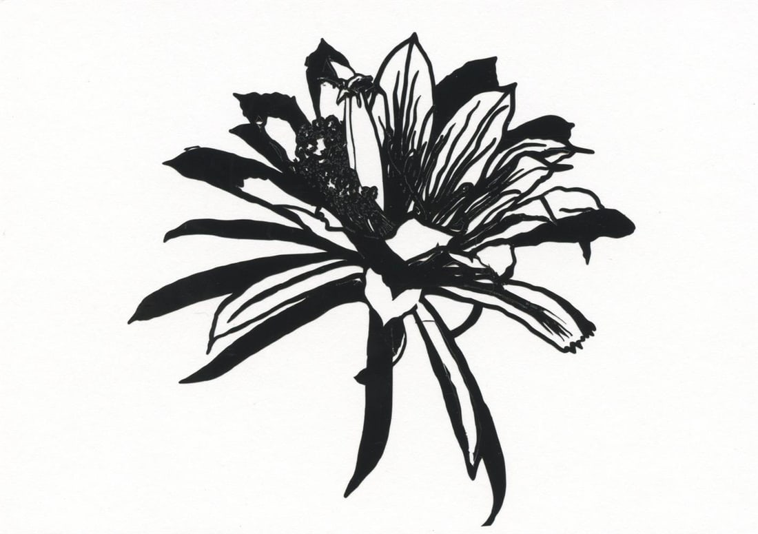 Renata Fernandez, Lady of the Night, 2025 (1 of 2)