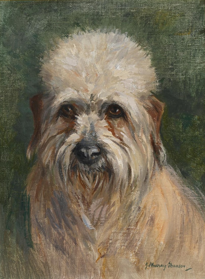 λ JOHN MURRAY THOMSON (SCOTTISH 1885-1974) 'CHAMPION HATTON REDCAP': λ JOHN MURRAY THOMSON (SCOTTISH 1885-1974)'CHAMPION HATTON REDCAP', A DANDIE DINMONTOil on canvas-boardSigned (lower right)39.5 x 30.5cm (15½ x 12 in.)Provenance:Hamshere Gallery, LondonCham