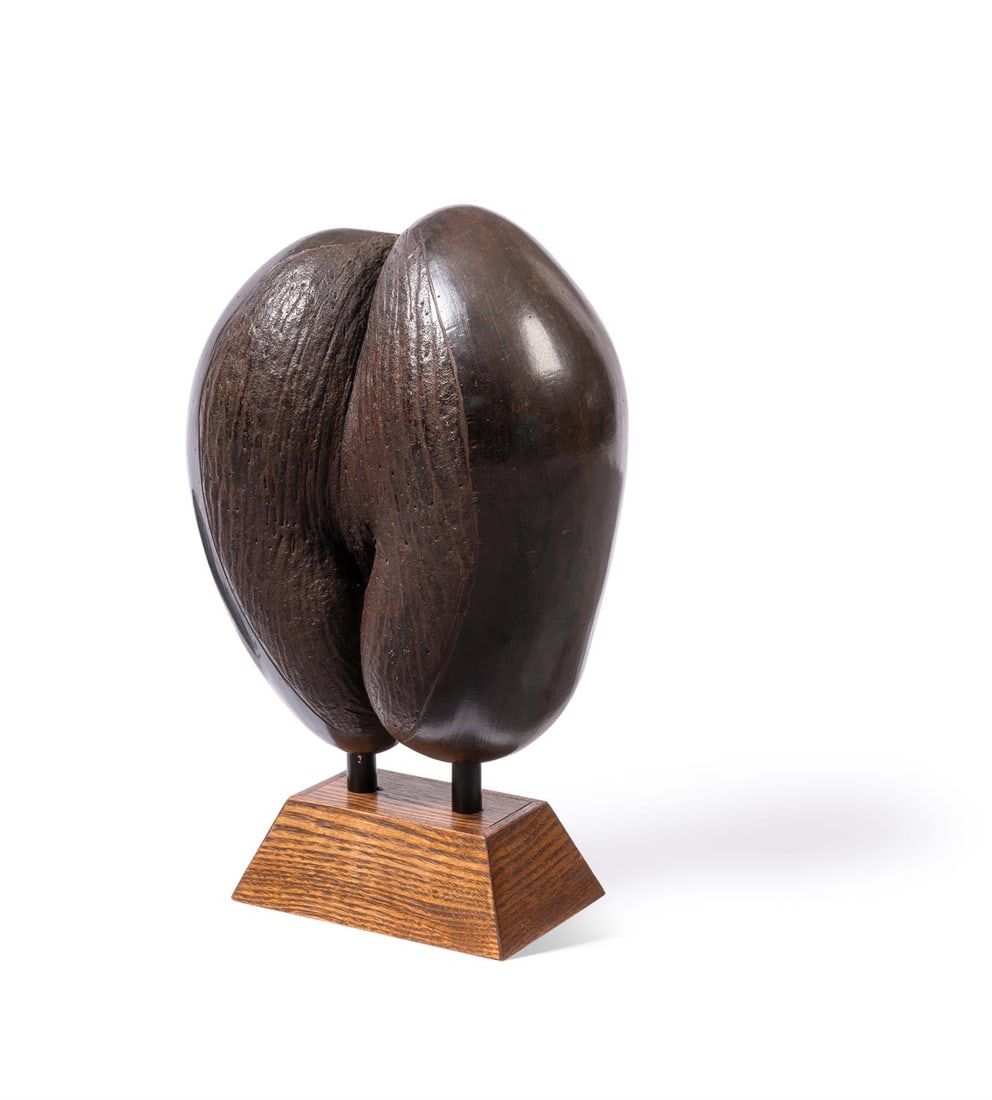 Y A COCO DE MER NUT (LODOICEA MALDIVICA) (1 of 3)