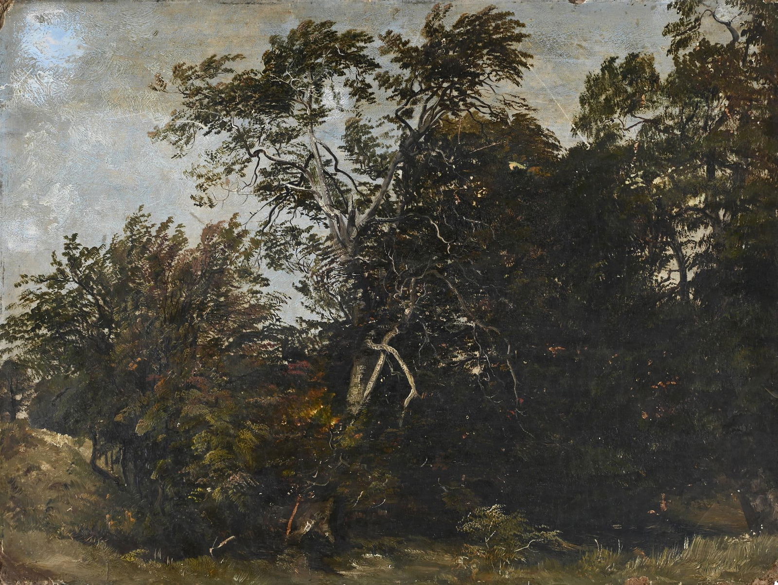 CIRCLE OF JOHN CONSTABLE (BRITISH 1776 - 1837), TREE STUDY (1 of 3)