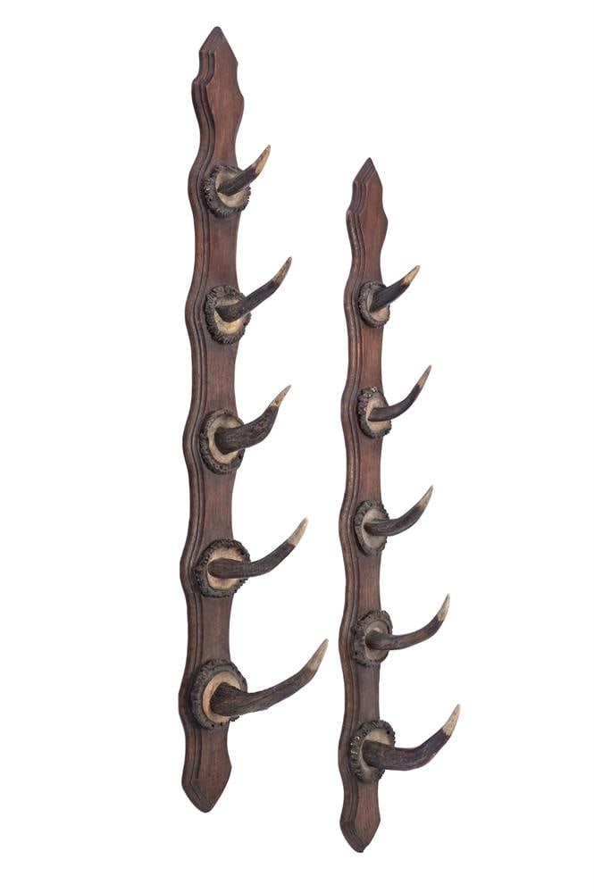 A PAIR OF HORN MOUNTED OAK HAT OR CROP RACKS, PROBABLY AUSTRIAN OR GERMAN, 20TH CENTURY (1 of 1)