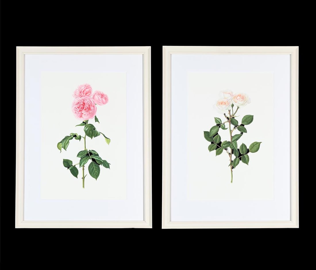 RUI JIANG (CHINESE B. 1981), ROSA DESDEMONA; ROSA PINK MARTINI (2): RUI JIANG (CHINESE B. 1981) ROSA DESDEMONA; ROSA PINK MARTINI Watercolour Signed and dated 2018 (lower right) 51 x 34cm (20 x 13¼ in.) Provenance: Timothy Langston