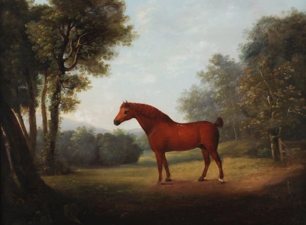 English School (19th century) A bay horse in a lan