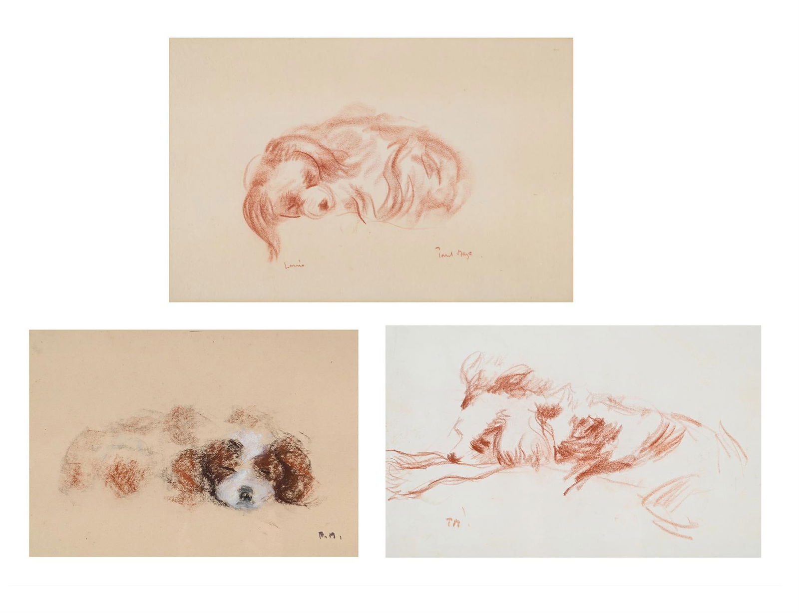 λ PAUL LUCIEN MAZE (FRENCH/BRITISH 1887-1979), THREE STUDIES OF A KING CHARLES SPANIEL (1 of 8)