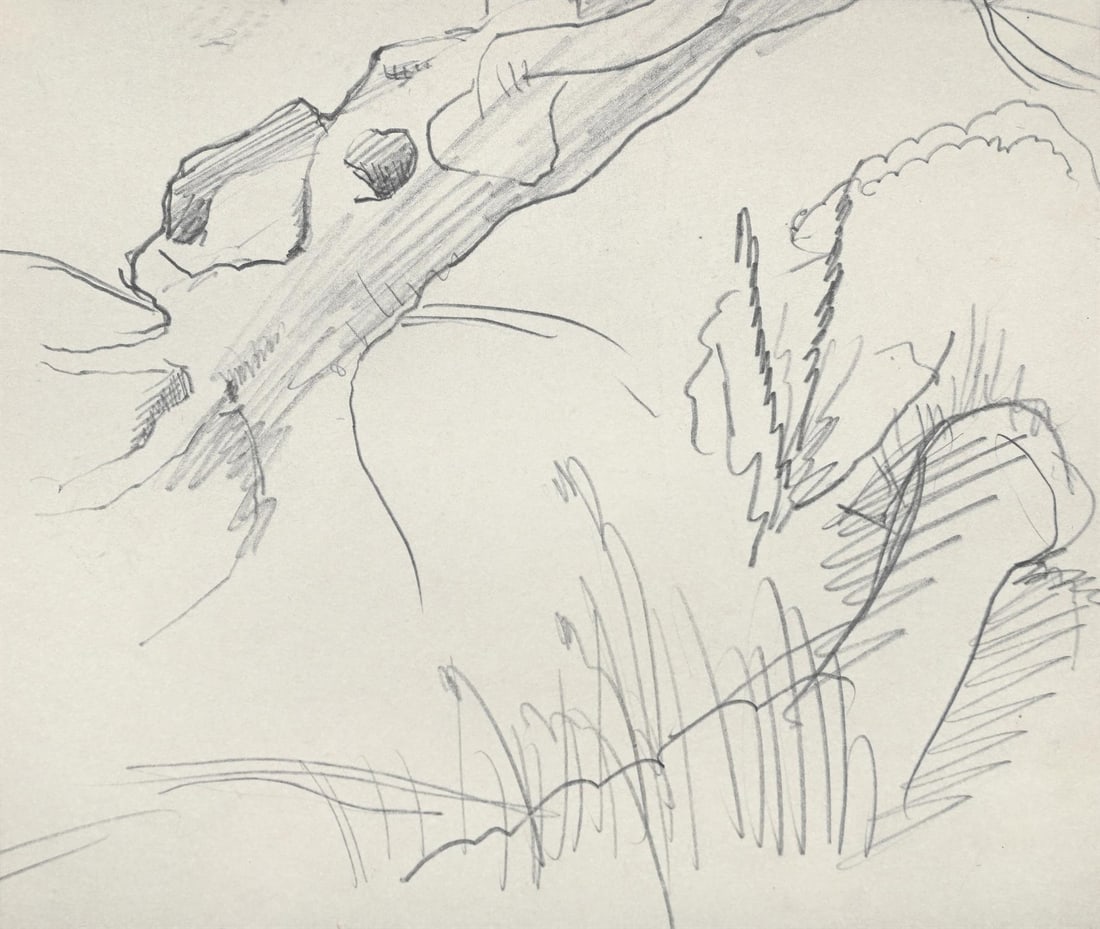 DORA CARRINGTON (BRITISH 1893-1932), STUDIES OF NATURAL FORMS (1 of 3)