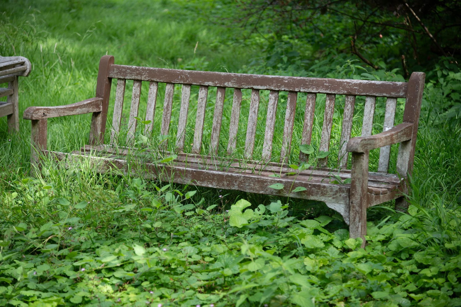 A LARGE HARDWOOD GARDEN BENCH, CONTEMPORARY (1 of 1)