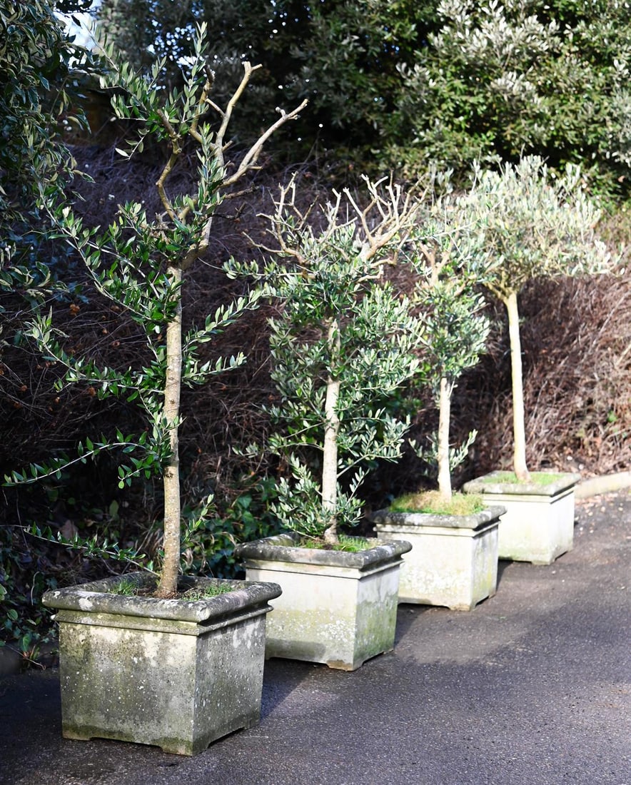A SET OF FOUR COMPOSITION STONE PLANTERS, 20TH CENTURY (1 of 1)