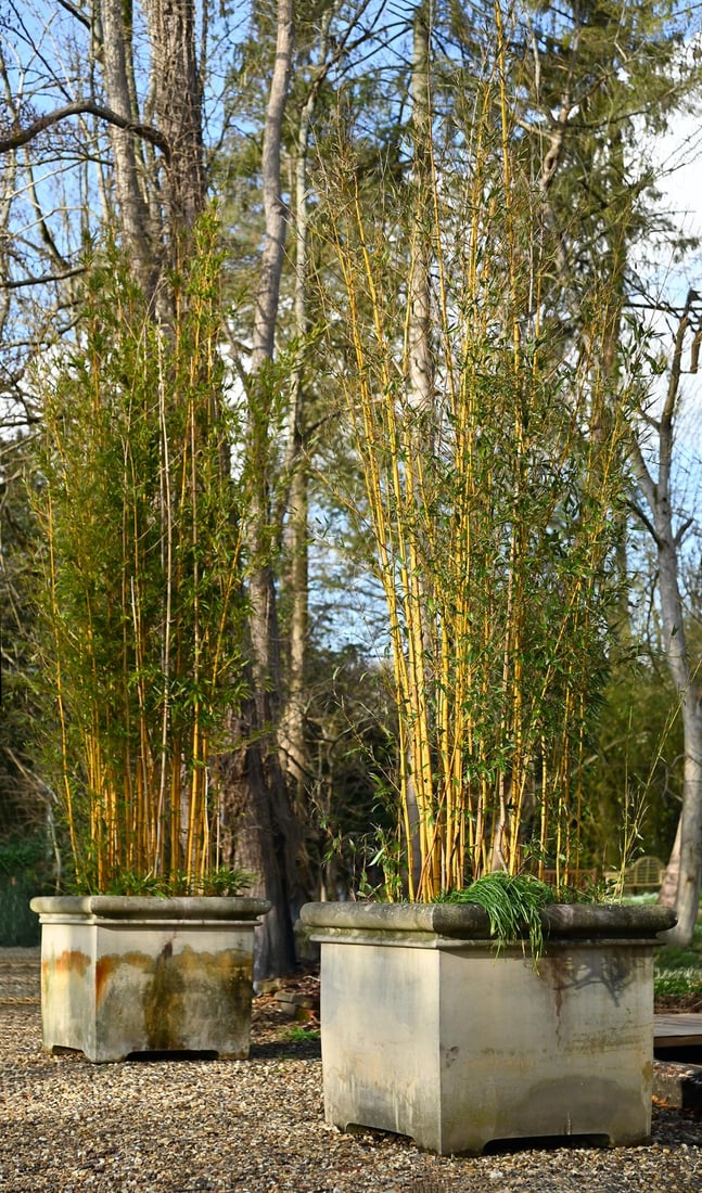 A LARGE PAIR OF COMPOSITION STONE PLANTERS, 20TH CENTURY (1 of 1)