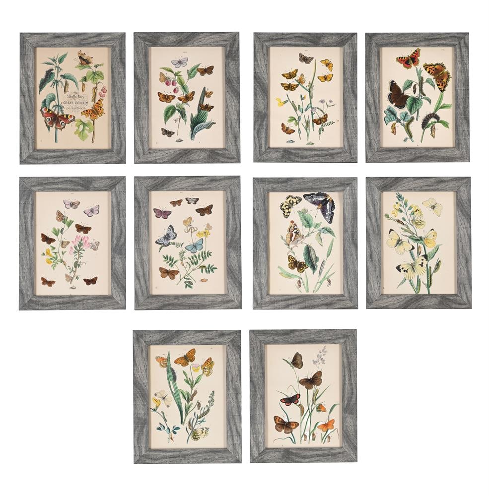 JOHN OBADIAH WESTWOOD (BRITISH 1805-1893), THE BUTTERFLIES AND MOTHS OF GREAT BRITAIN (10): JOHN OBADIAH WESTWOOD (BRITISH 1805-1893) THE BUTTERFLIES AND MOTHS OF GREAT BRITAIN AND THEIR TRANSFORMATIONS Coloured lithographs Ten signed with monogram (lower left or lower centre) Each 19 x