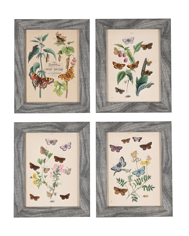 JOHN OBADIAH WESTWOOD (BRITISH 1805-1893), THE BUTTERFLIES AND MOTHS OF GREAT BRITAIN (10) - 2