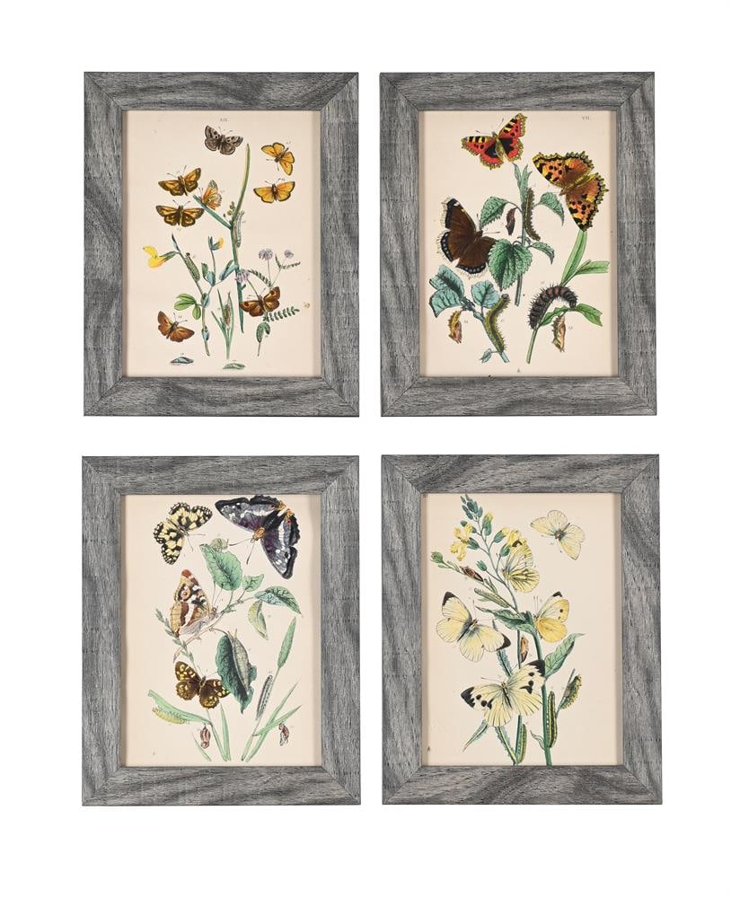 JOHN OBADIAH WESTWOOD (BRITISH 1805-1893), THE BUTTERFLIES AND MOTHS OF GREAT BRITAIN (10) - 3