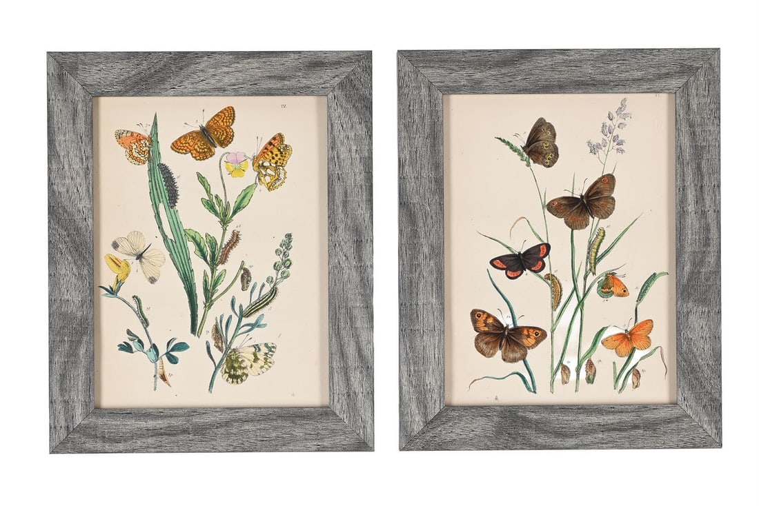 JOHN OBADIAH WESTWOOD (BRITISH 1805-1893), THE BUTTERFLIES AND MOTHS OF GREAT BRITAIN (10) - 4