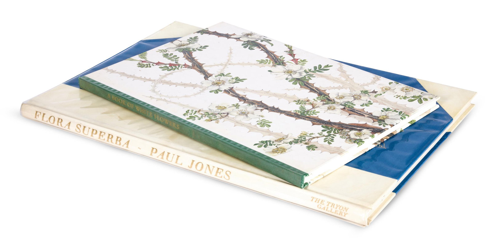 PAUL JONES, FLORA SUPERBA AND A BOOK OF WHITE FLOWERS, 24 PAINTINGS BY ELIZABETH CAMERON (1 of 8)