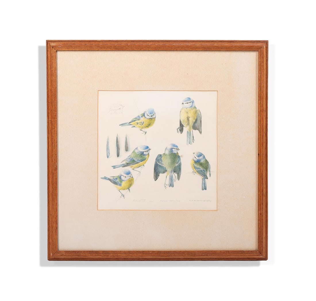 λ MILDRED E. ELDRIDGE (BRITISH 1909-1991) STUDY OF BLUE TITS (1 of 3)
