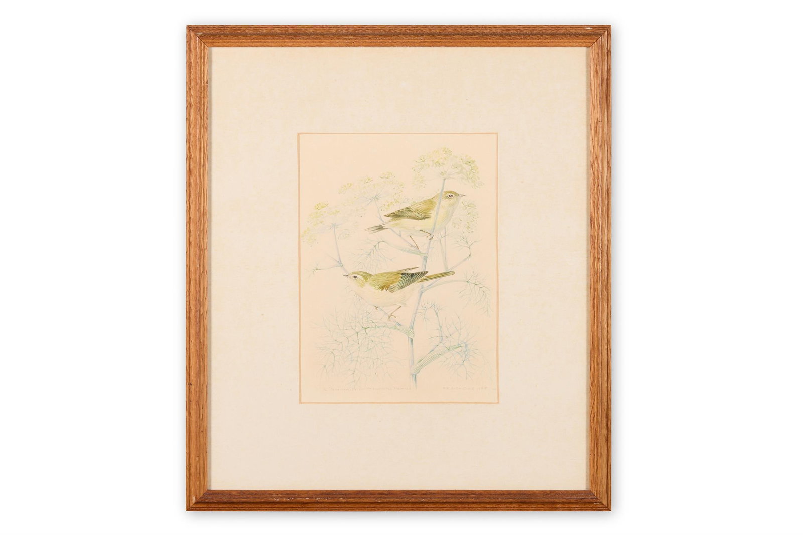 λ MILDRED E. ELDRIDGE (BRITISH 1909-1991) WILLOW WARBLERS ON FENNEL (1 of 2)