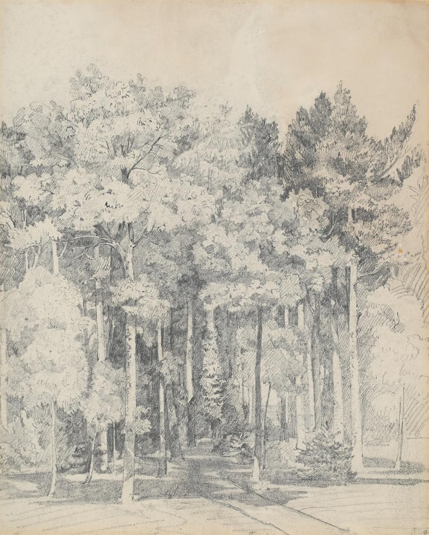 JOHN SELL COTMAN (BRITISH 1782-1842), STUDY OF TREES: JOHN SELL COTMAN (BRITISH 1782-1842)STUDY OF TREESPencilInscribed '9' (lower right); bears W.Bateson's collector's stamp, Lugt.2604a (verso)29 x 24cm (11¼ x 9¼in.)Executed circa 1805Provenan