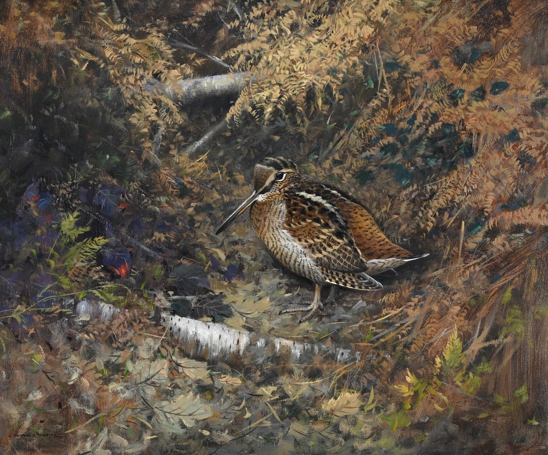 λ COLIN W. BURNS (BRITISH B.1944), WOODCOCK IN BRACKEN (1 of 3)