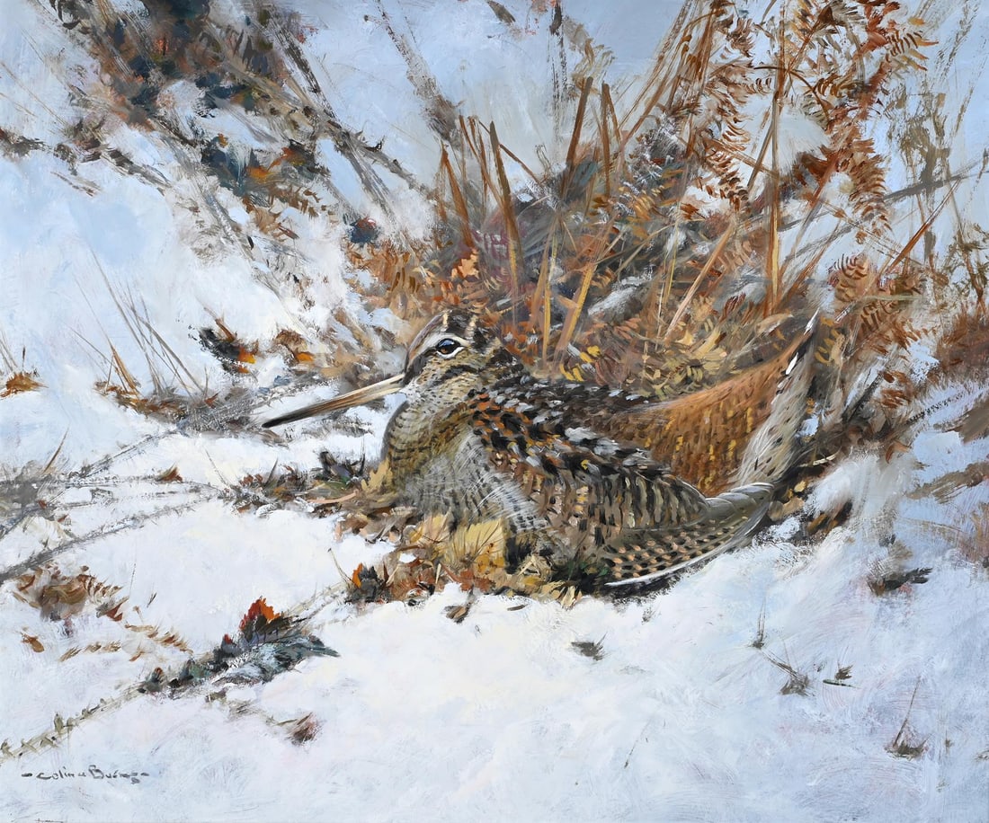 λ COLIN W. BURNS (BRITISH B.1944), WINTER WOODCOCK IN BRACKEN (1 of 3)