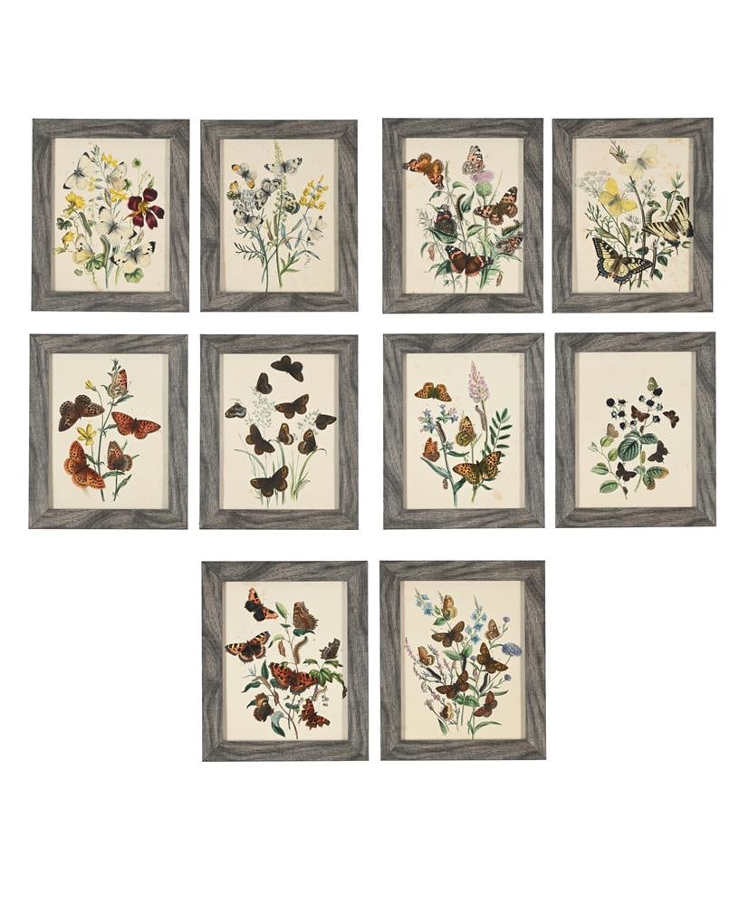 HENRY NOEL HUMPHREYS (BRITISH 1810-1879), BRITISH BUTTERFLIES AND THEIR TRANSFORMATIONS (10): HENRY NOEL HUMPHREYS (BRITISH 1810-1879) A SET OF TEN ILLUSTRATIONS FROM 'BRITISH BUTTERFLIES AND THEIR TRANSFORMATIONS' Coloured lithographs 22 x 17cm (8½ x 6½in.) Condition