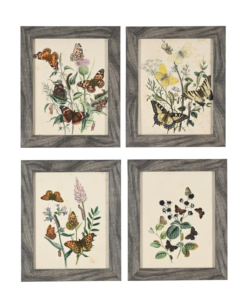 HENRY NOEL HUMPHREYS (BRITISH 1810-1879), BRITISH BUTTERFLIES AND THEIR TRANSFORMATIONS (10) - 2