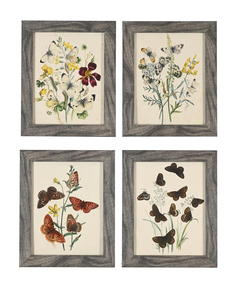 HENRY NOEL HUMPHREYS (BRITISH 1810-1879), BRITISH BUTTERFLIES AND THEIR TRANSFORMATIONS (10) - 3