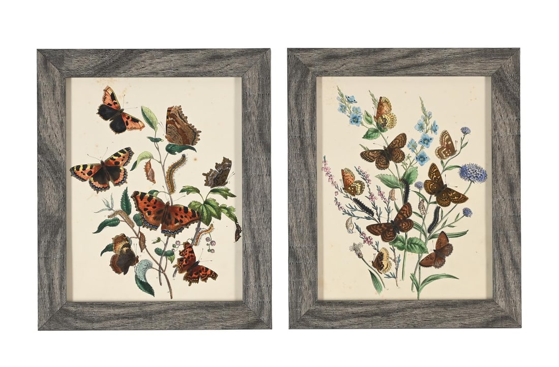 HENRY NOEL HUMPHREYS (BRITISH 1810-1879), BRITISH BUTTERFLIES AND THEIR TRANSFORMATIONS (10) - 4