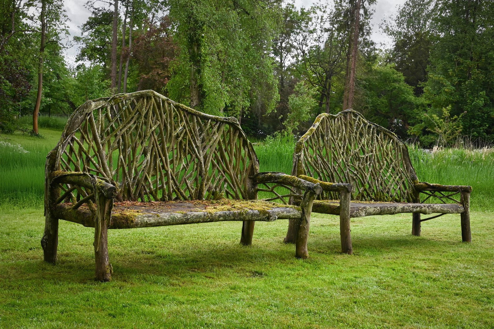 A LARGE PAIR OF TEAK BRANCH COUNTRY HOUSE GARDEN BENCHES, CONTEMPORARY (1 of 2)