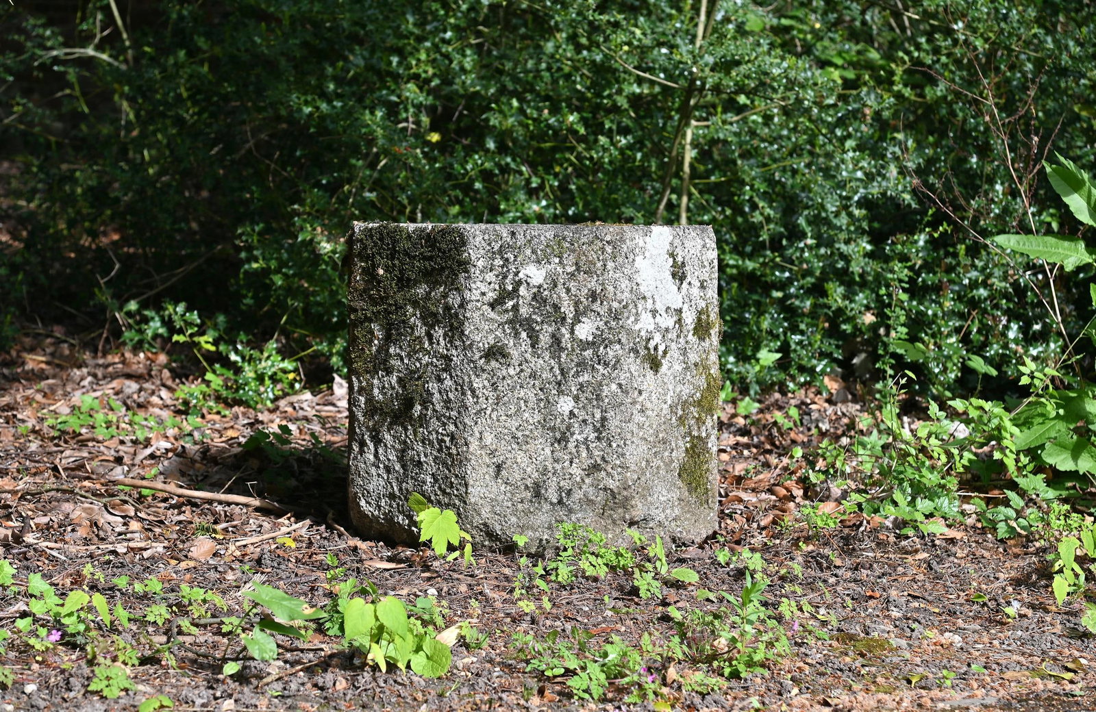 A CARVED GRANITE PLANTER OF OCTAGONAL FORM, 17TH CENTURY OR EARLIER (1 of 1)
