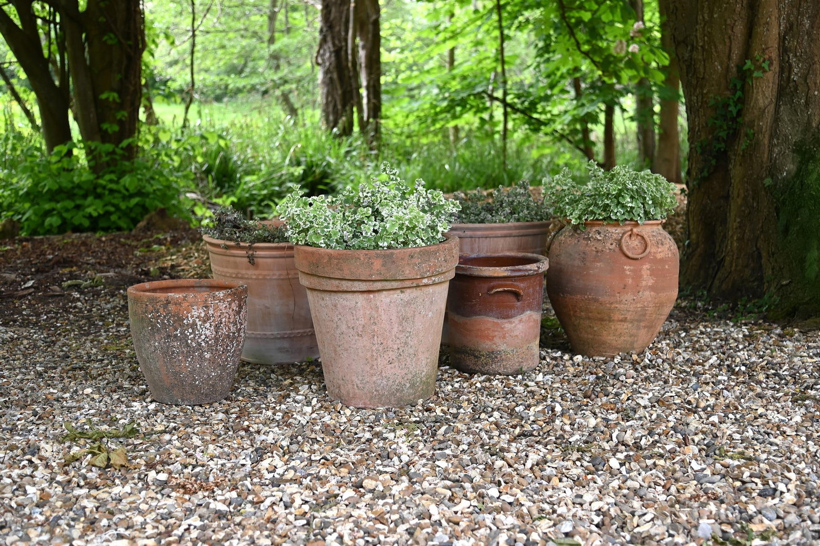 A GROUP OF SIX TERRACOTTA PLANTERS, PREDOMINANTLY LATE 20TH CENTURY (1 of 1)