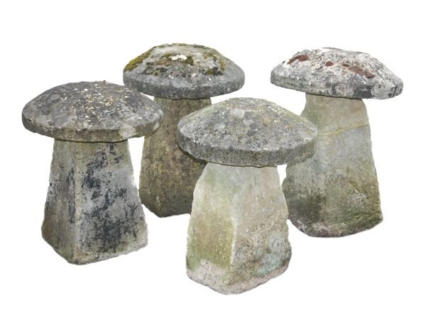 A group of four stone staddle stones , of typical: A group of four stone staddle stones, of typical form, varying sizes, the largest approximately 70cm high