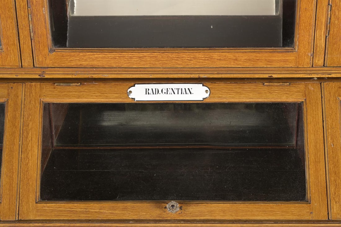 A SCUMBLED PINE AND GLASS PHARMACY OR HERBALISTS SHOP CABINET, FRENCH, CIRCA 1900 - 2