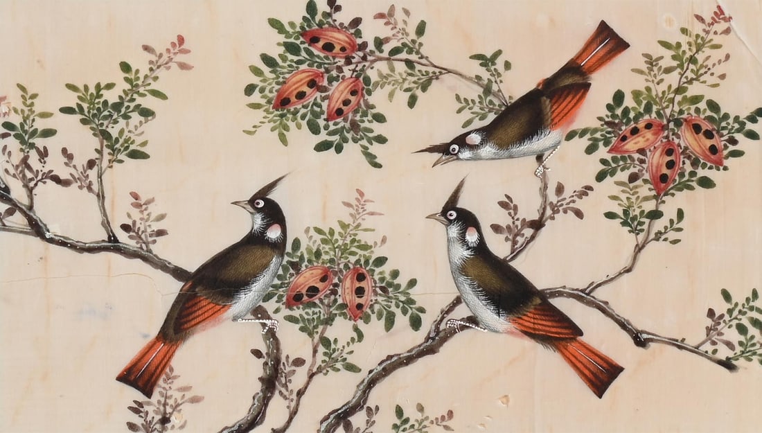 A GROUP OF TWELVE CHINESE PITH PAPER PAINTINGS OF BIRDS, 19TH CENTURY - 11