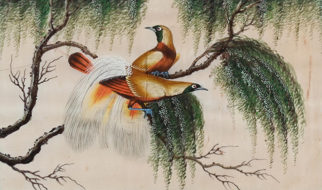 A GROUP OF TWELVE CHINESE PITH PAPER PAINTINGS OF BIRDS, 19TH CENTURY - 12