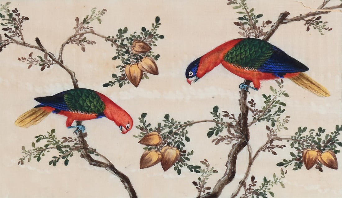 A GROUP OF TWELVE CHINESE PITH PAPER PAINTINGS OF BIRDS, 19TH CENTURY - 13