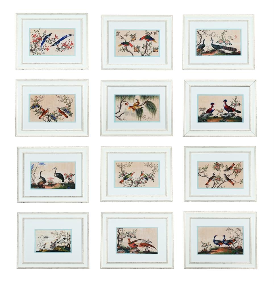 A GROUP OF TWELVE CHINESE PITH PAPER PAINTINGS OF BIRDS, 19TH CENTURY (1 of 14)