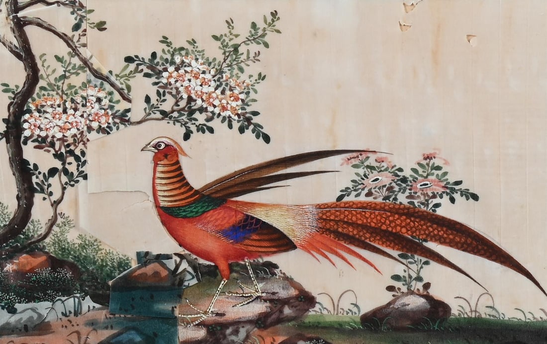 A GROUP OF TWELVE CHINESE PITH PAPER PAINTINGS OF BIRDS, 19TH CENTURY - 2