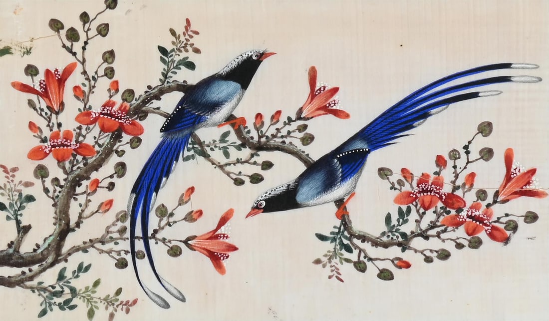 A GROUP OF TWELVE CHINESE PITH PAPER PAINTINGS OF BIRDS, 19TH CENTURY - 4