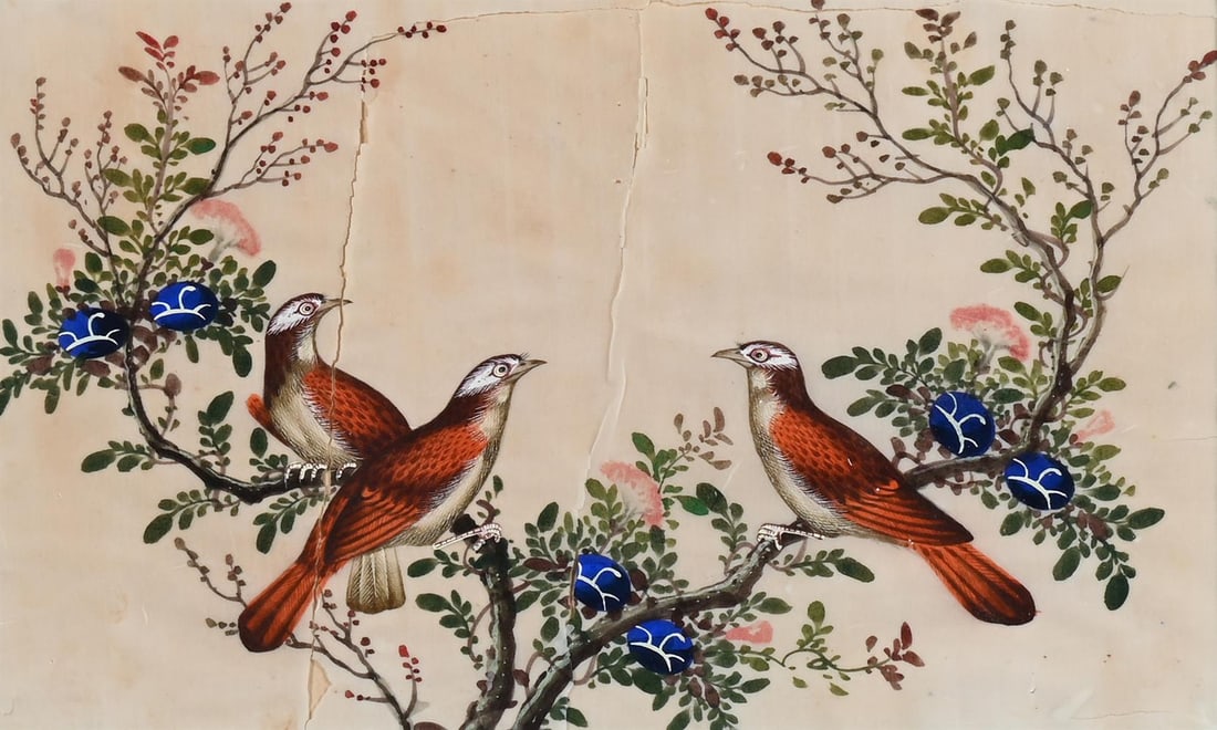 A GROUP OF TWELVE CHINESE PITH PAPER PAINTINGS OF BIRDS, 19TH CENTURY - 5