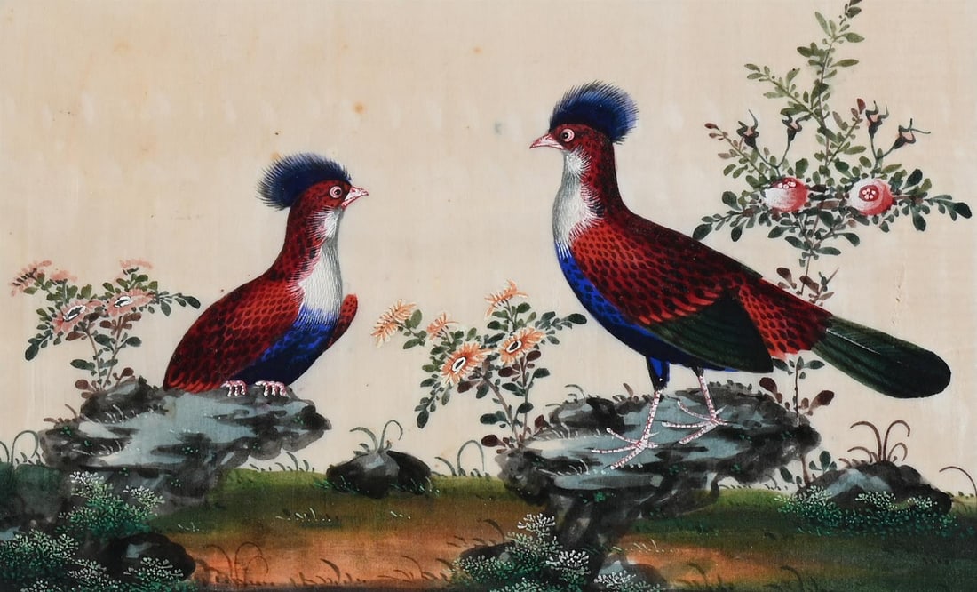 A GROUP OF TWELVE CHINESE PITH PAPER PAINTINGS OF BIRDS, 19TH CENTURY - 6