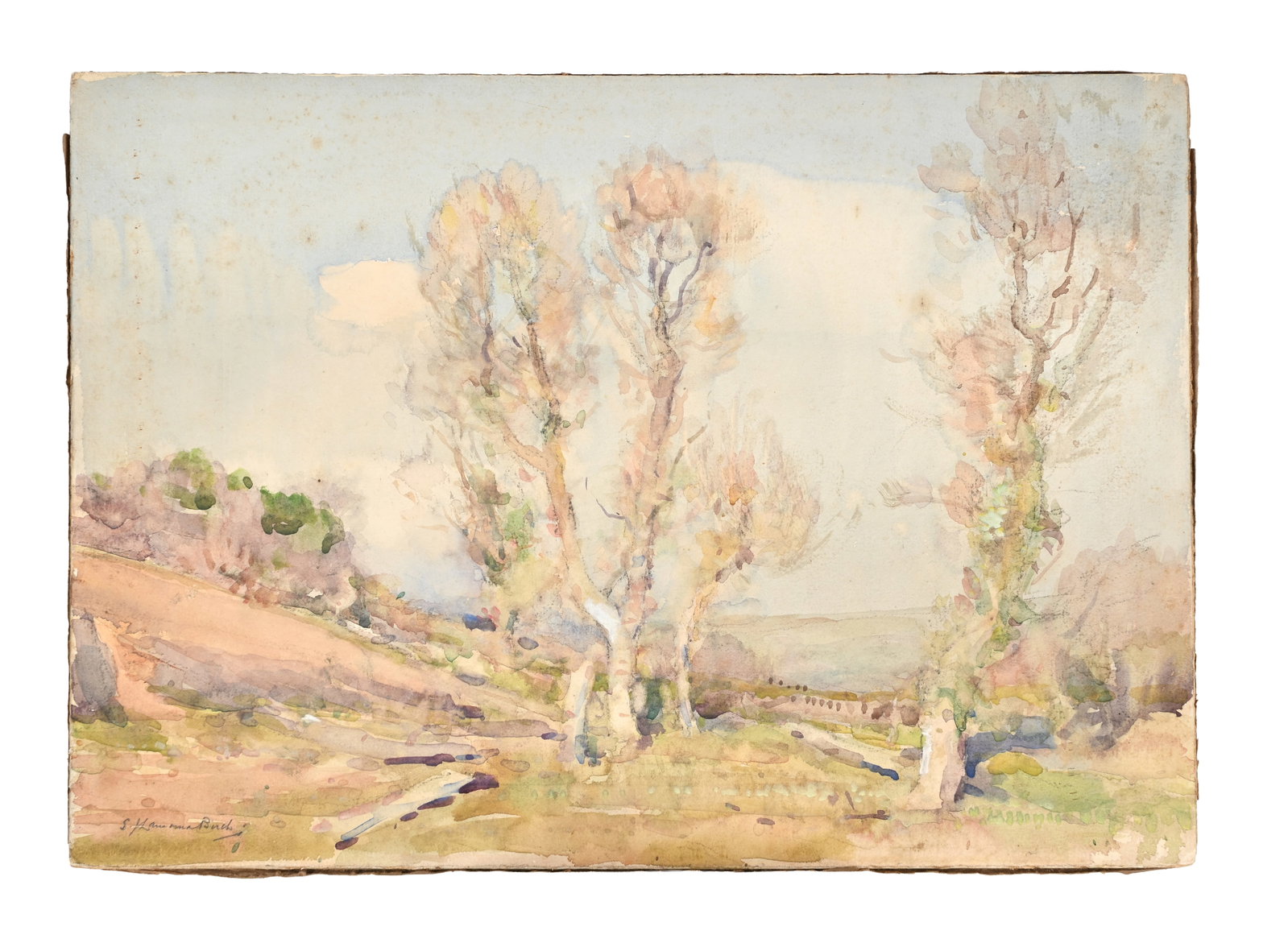 SAMUEL JOHN LAMORNA BIRCH (BRITISH 1869-1955), SILVER BIRCHES IN A LANDSCAPE (1 of 3)