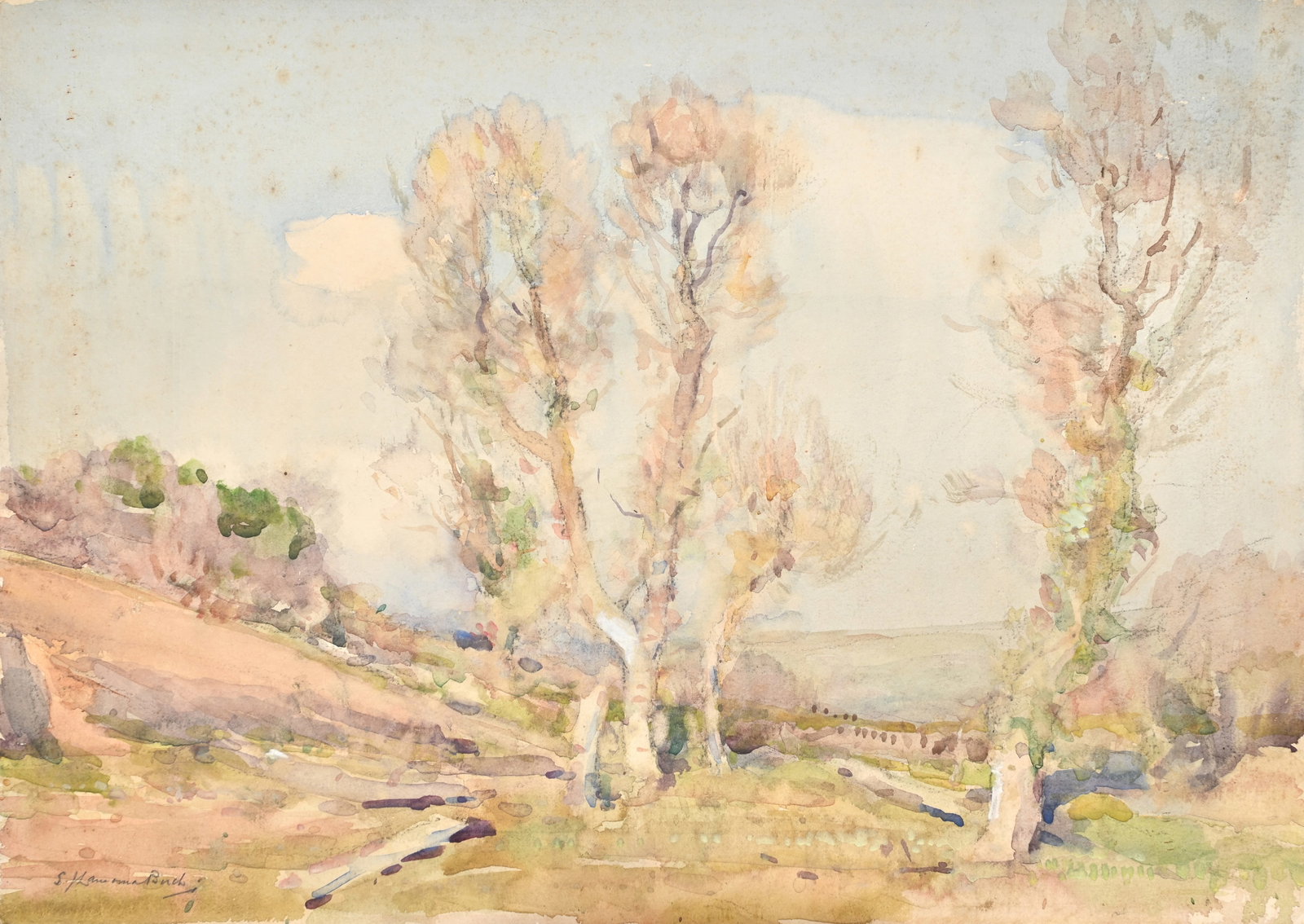 SAMUEL JOHN LAMORNA BIRCH (BRITISH 1869-1955), SILVER BIRCHES IN A LANDSCAPE - 2